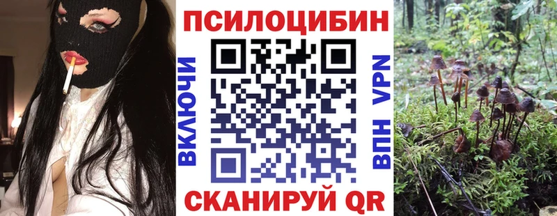 Псилоцибиновые грибы мухоморы купить наркотик Лиски